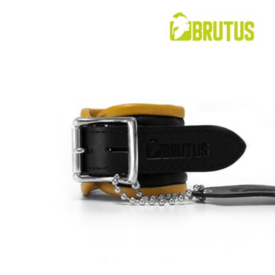 Search results for: 'brutus