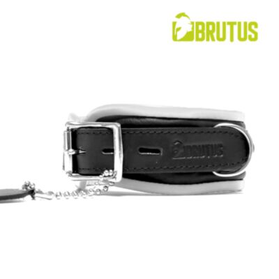 Search results for: 'brutus